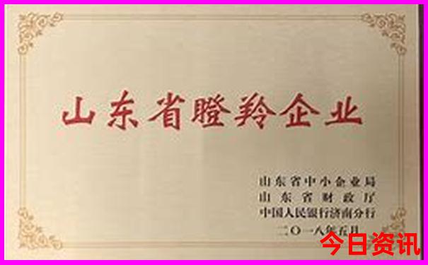重庆市区有哪些景点